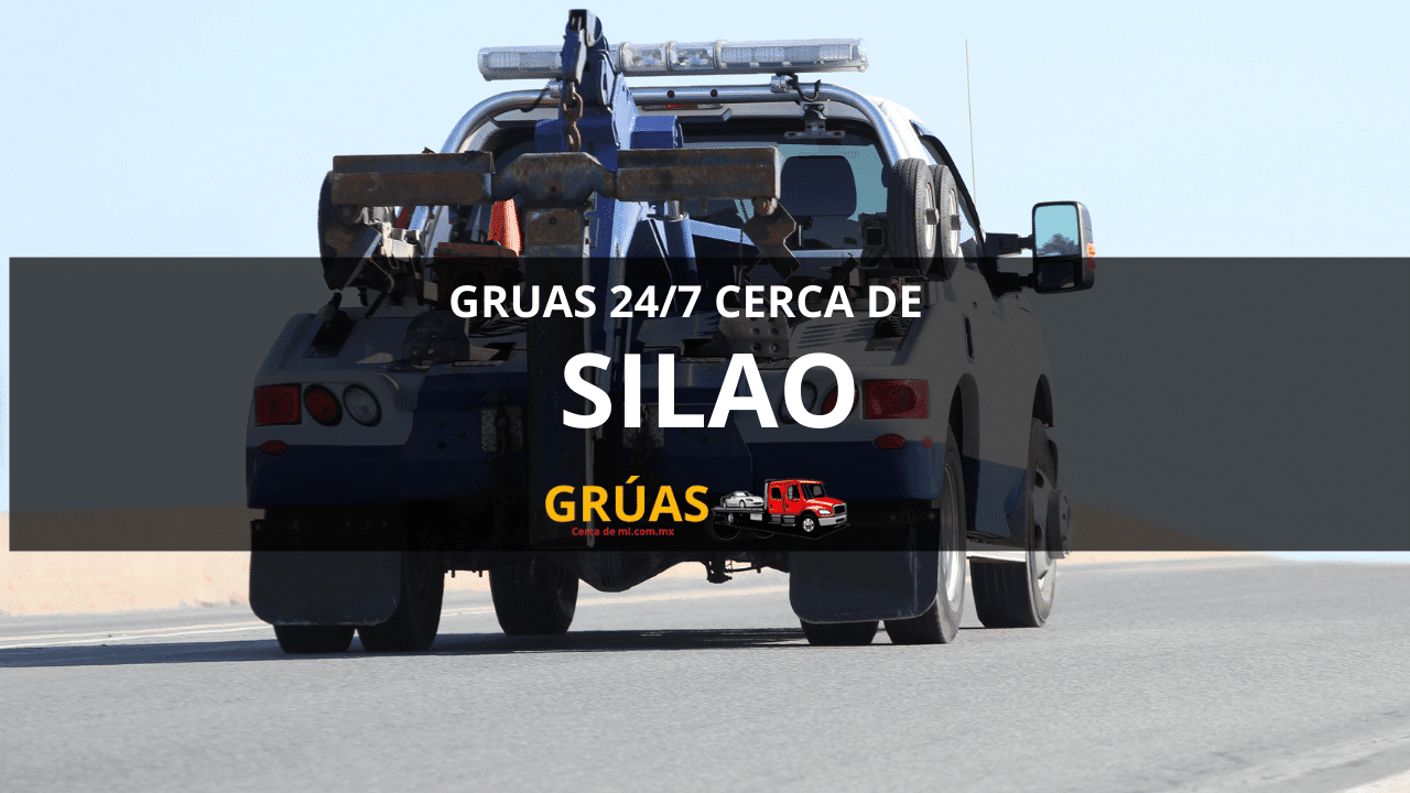 Grúas Económicas en Silao 5 SILAO