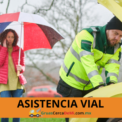ASISTENCIA VIAL